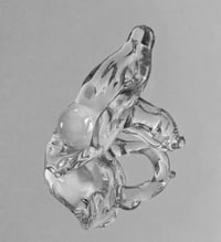 Image 1 of OSTRA