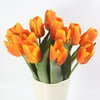 For Stephanie