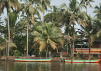 Viaje a Kerala , India 2027