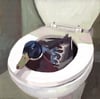 Duck au Toilette
