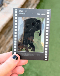 Image 2 of Obanai Custom Polaroid Photocard