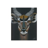 Image 1 of Quiet Strength | Kudu Fine Art Print