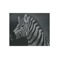 Image 1 of Echoes of Africa | Fine Art Print