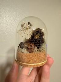 Image 1 of Mini Bee Dome