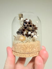 Image 1 of  Mini Honey Bee Dome