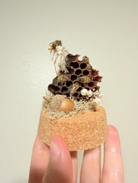 Image 3 of  Mini Honey Bee Dome
