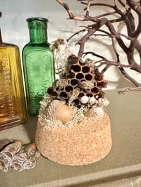 Image 4 of  Mini Honey Bee Dome