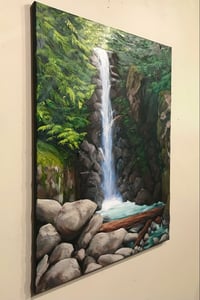 Image 2 of A Quick Dip In Norvan Falls