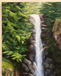 Image 4 of A Quick Dip In Norvan Falls