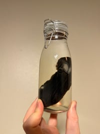 Image 3 of Black Bunny
