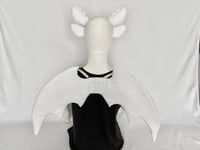 Image 8 of Toothless or Light Fury Costume Sets