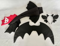 Image 2 of Toothless or Light Fury Costume Sets
