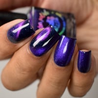 Image 14 of The Midnight Reader Society - Magnetic