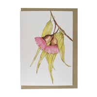 Image 1 of Australian made greeting card - Australian gum blossom
