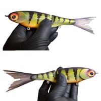  CreekHunter (Perch)