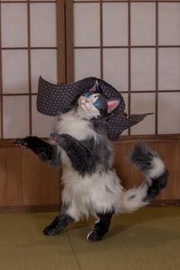 Image 8 of Bakeneko (化け猫) poseable art doll [PREORDER]