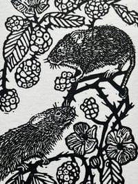 Image 2 of Harvest Mice in Brambles