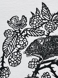 Image 3 of Harvest Mice in Brambles