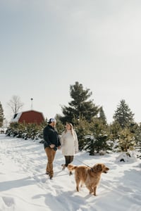 Image 1 of Outdoor Christmas Minis - November 7th - $300