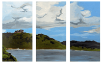 Image 1 of Panorama swipes