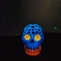 Image 4 of Painted Skull - Neon Tide