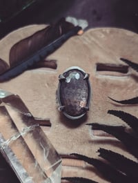 Image 1 of Apis ring 8