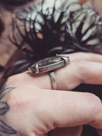 Image 4 of Apis ring 8