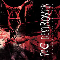 Pig Destroyer -  38 Counts Of Battery 12"