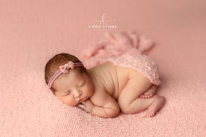 Image of Kiana Backdrop - Pink / White