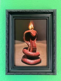 Image 4 of Serpentine