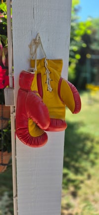 Image 1 of Paire de gants de boxe en cuir bicolore vintage