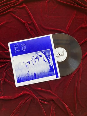 Image of Vellocet Roll - Freedom Colony (LP)
