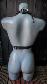 Image 9 of Scorpion Rockstar Bra - Gunmetal