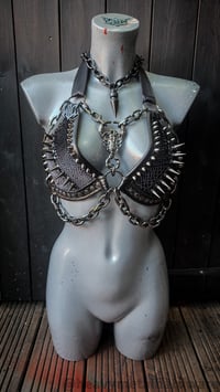 Image 11 of Scorpion Rockstar Bra - Gunmetal