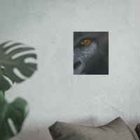 Image 2 of Ancient Soul | Gorilla Fine Art Print
