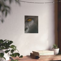 Image 3 of Ancient Soul | Gorilla Fine Art Print