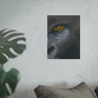 Image 4 of Ancient Soul | Gorilla Fine Art Print