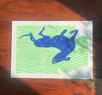 Image 1 of Paws & Relax -  Riso Trykk