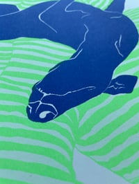 Image 2 of Paws & Relax -  Riso Trykk