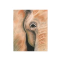 Image 1 of Gentle Giant | Elephant Fine Art Print