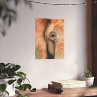 Image 5 of Gentle Giant | Elephant Fine Art Print