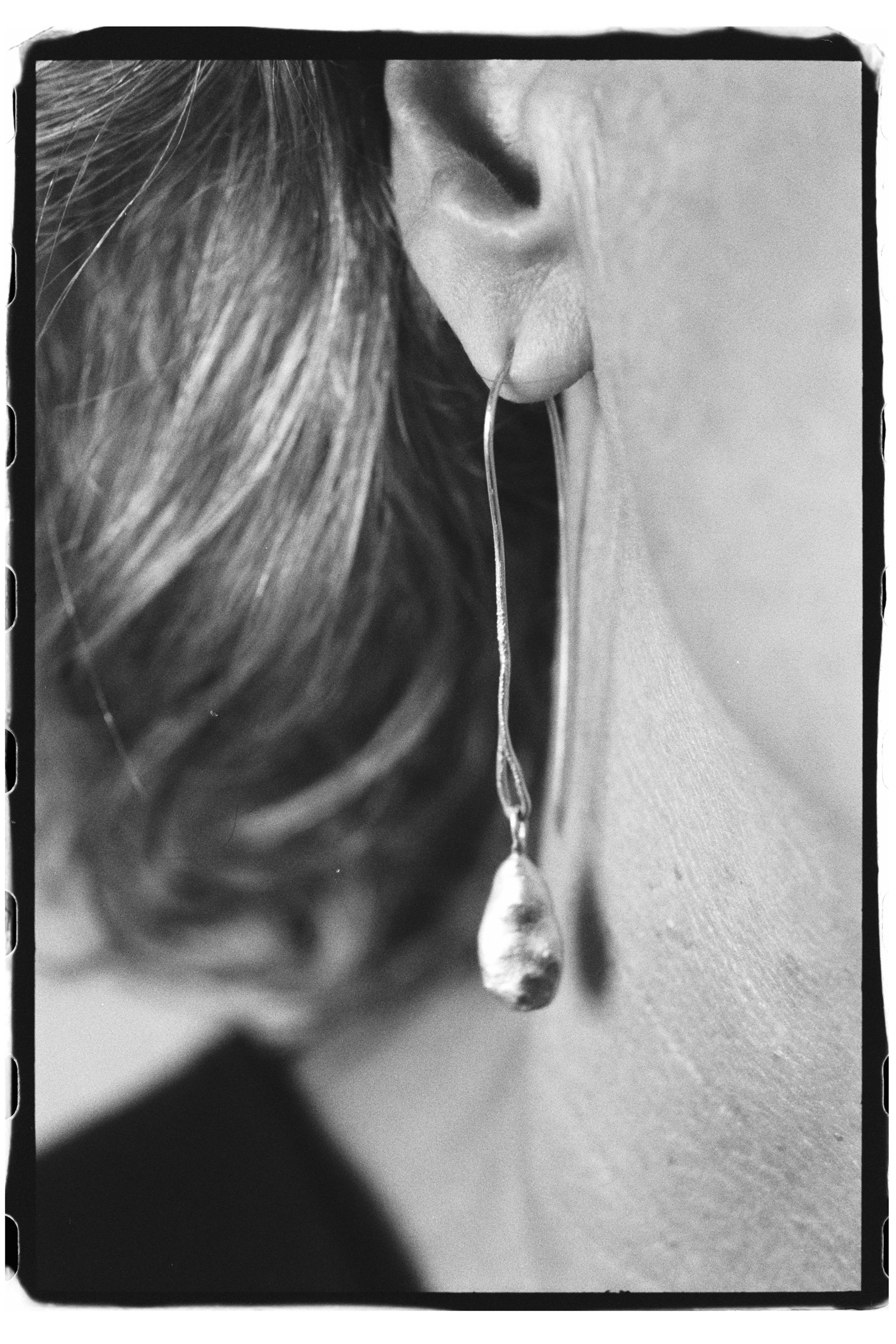 Image of Edition 6. Piece 5. Earrings