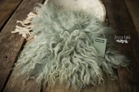 Succulent hand felted fur
