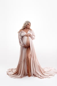 Image 1 of Albina Silk Gown