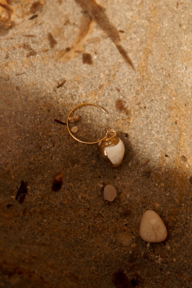 ARCHIVE COQUILLAGE 