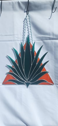 Image 2 of Century Agave
