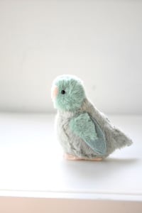 Image 3 of baby parrotlet