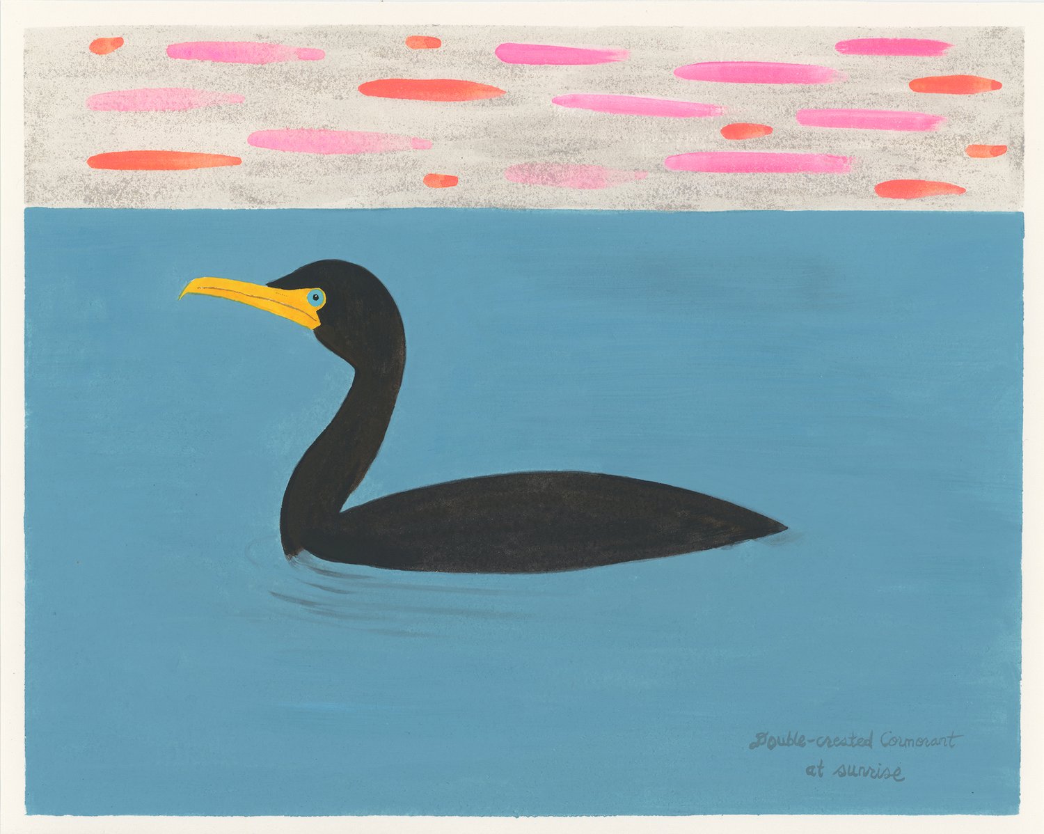 Double-crested cormorant