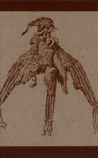 Ajilvsga - Swamp Bird CS (Tape Fiend)