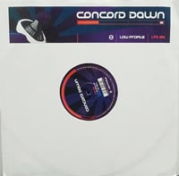 Concord Dawn – Bitchkiller / The Drill 12" Vinyl | Drum & Bass | Low Profile  | Used